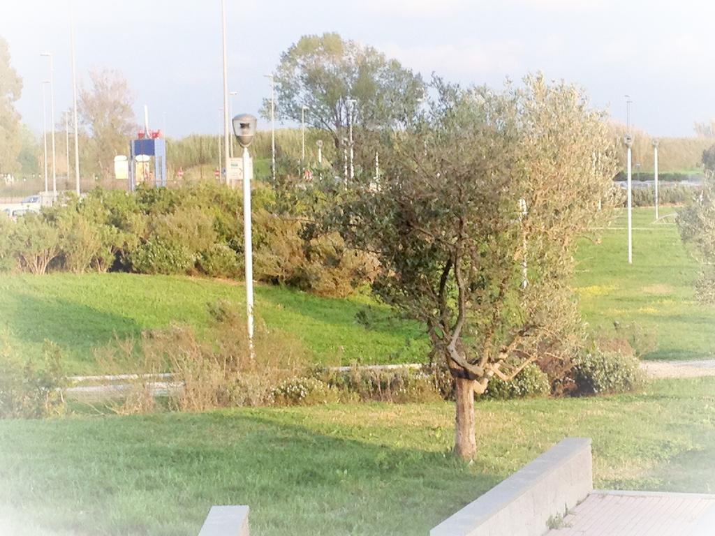 Domus Al Parco